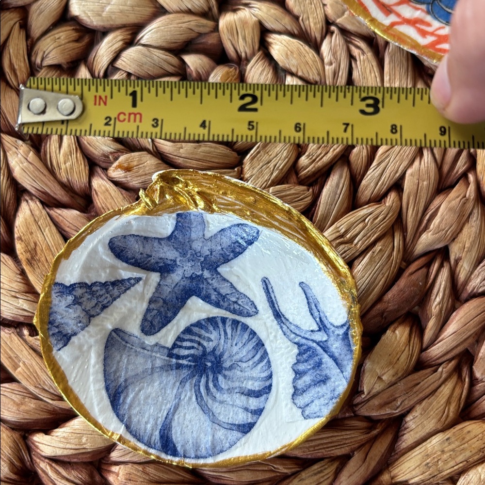 sea shell jewelry holder: blue and white